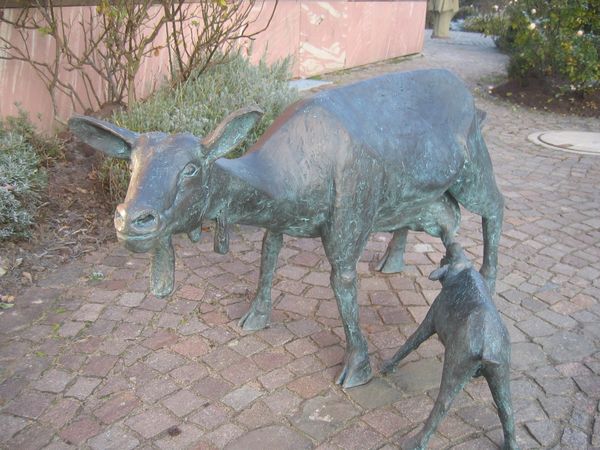 ziegenhardenburg0001